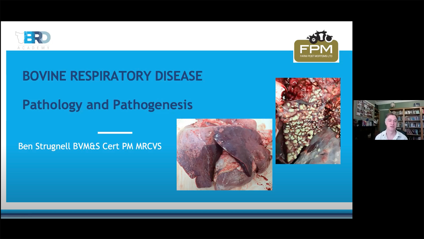 Bovine respiratory disease: Pathology and pathogenesis image