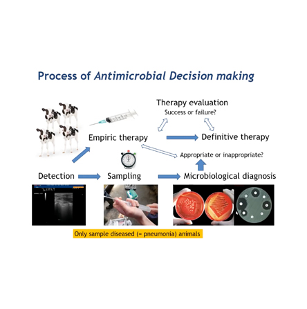 Rapid diagnostics and qTUS as gamechangers to tackle BRD image